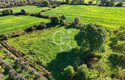 Datça Burgaz Arkası'nda 2.200 m² Bademlik