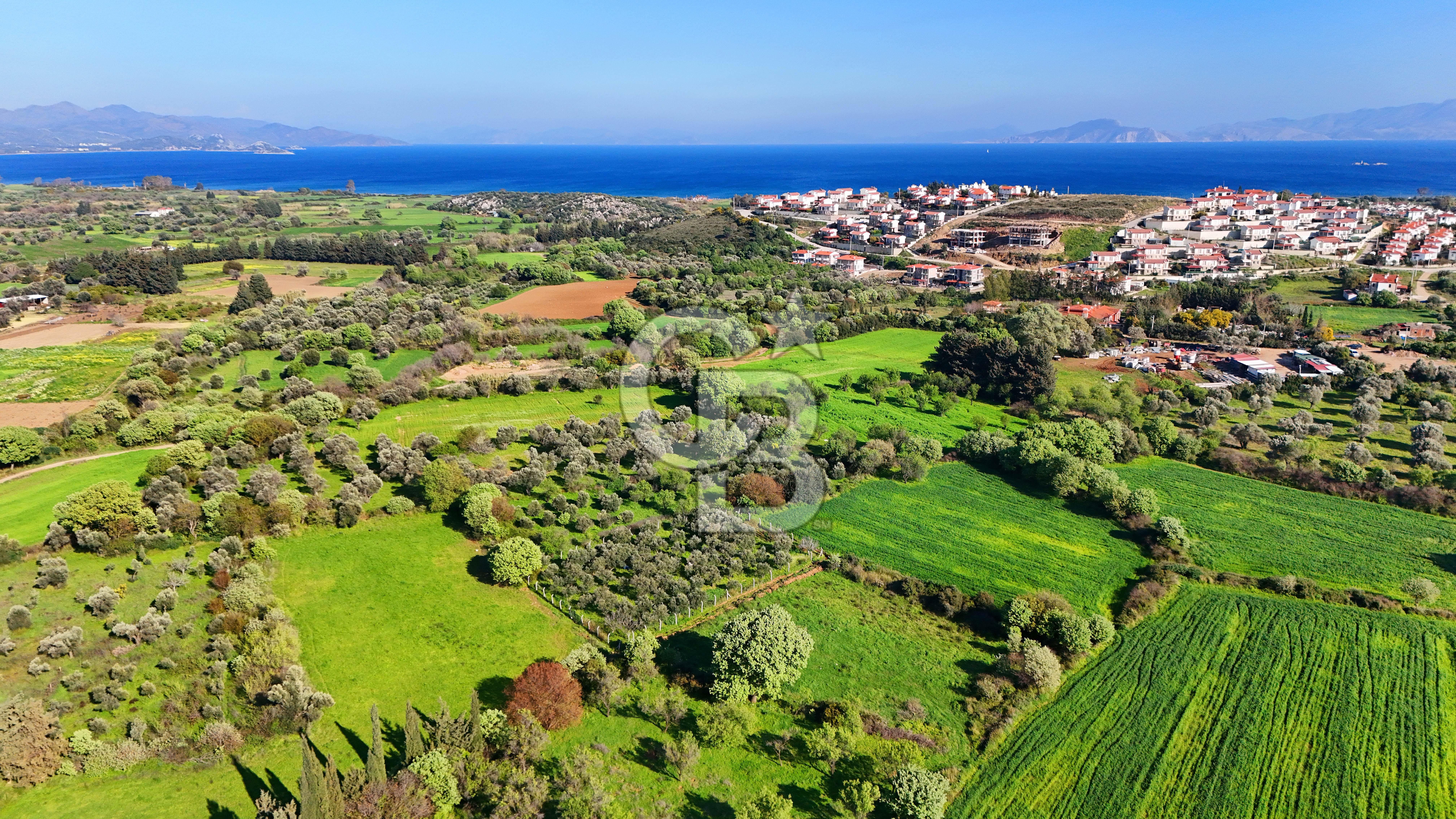 Datça Burgaz Arkası'nda 2.200 m² Bademlik