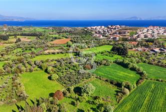 Datça Burgaz Arkası'nda 2.200 m² Bademlik - 4 - 341850