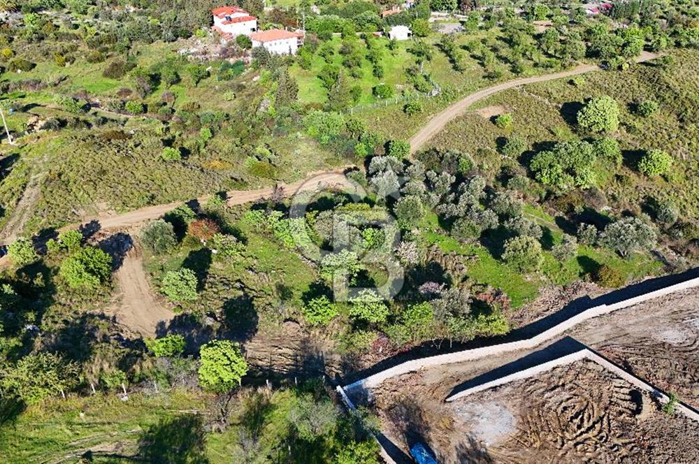 Datça Karadağ Mevkiinde Manzaralı 4.436 m² Bademlik