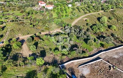 Datça Karadağ Mevkiinde Manzaralı 4.436 m² Bademlik