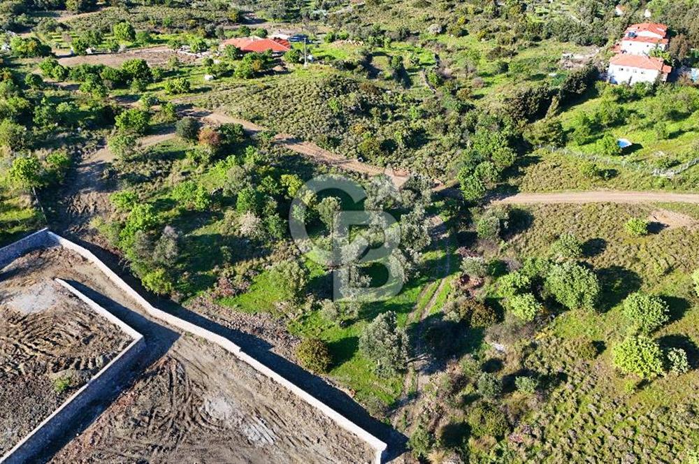 Datça Karadağ Mevkiinde Manzaralı 4.436 m² Bademlik