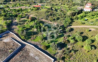 Datça Karadağ Mevkiinde Manzaralı 4.436 m² Bademlik