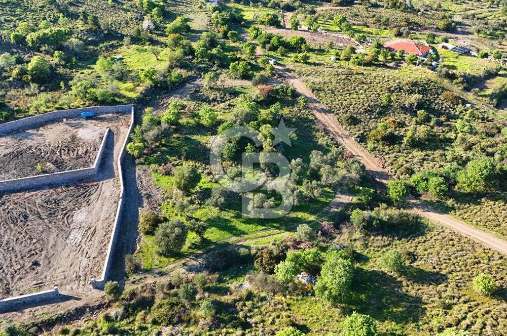 Datça Karadağ Mevkiinde Manzaralı 4.436 m² Bademlik