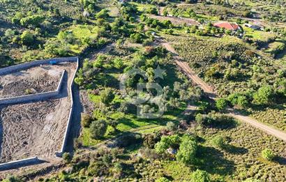 Datça Karadağ Mevkiinde Manzaralı 4.436 m² Bademlik