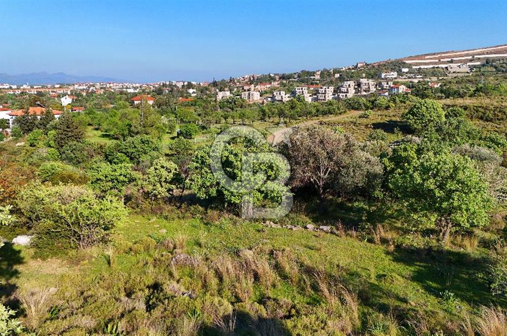 Datça Karadağ Mevkiinde Manzaralı 4.436 m² Bademlik