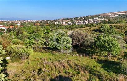 Datça Karadağ Mevkiinde Manzaralı 4.436 m² Bademlik