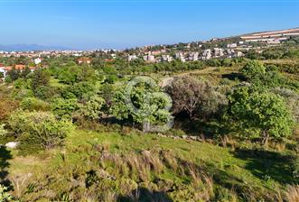 Datça Karadağ Mevkiinde Manzaralı 4.436 m² Bademlik - 2 - 341840