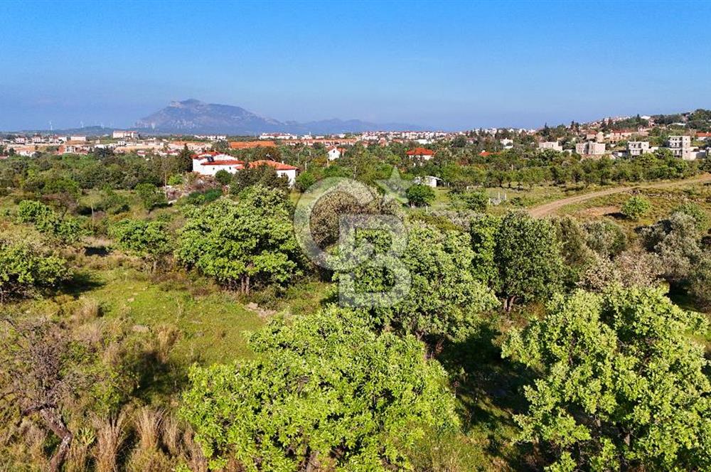 Datça Karadağ Mevkiinde Manzaralı 4.436 m² Bademlik