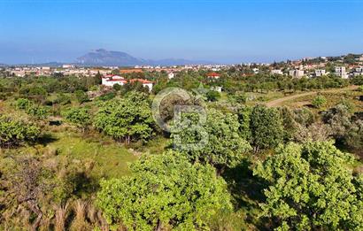 Datça Karadağ Mevkiinde Manzaralı 4.436 m² Bademlik