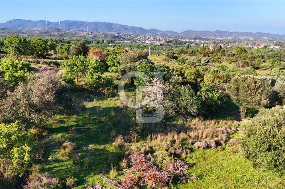 Datça Karadağ Mevkiinde Manzaralı 4.436 m² Bademlik