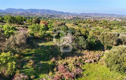 Datça Karadağ Mevkiinde Manzaralı 4.436 m² Bademlik