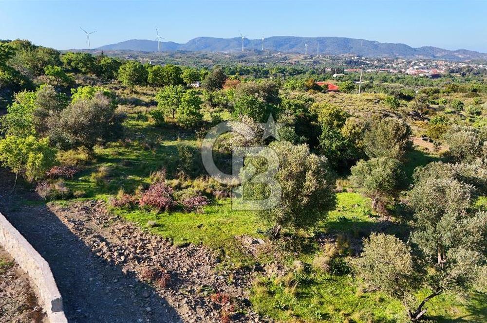 Datça Karadağ Mevkiinde Manzaralı 4.436 m² Bademlik