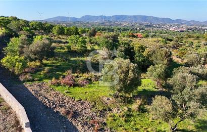 Datça Karadağ Mevkiinde Manzaralı 4.436 m² Bademlik