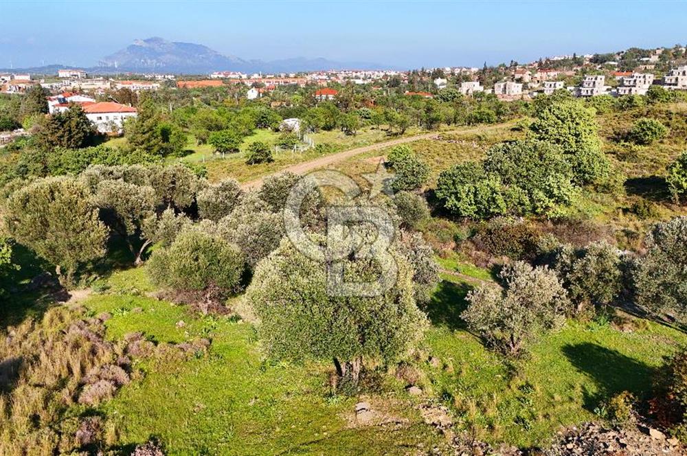 Datça Karadağ Mevkiinde Manzaralı 4.436 m² Bademlik