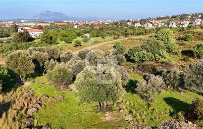 Datça Karadağ Mevkiinde Manzaralı 4.436 m² Bademlik