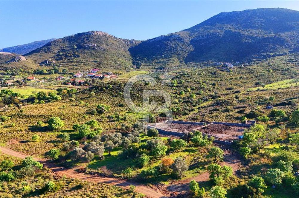 Datça Karadağ Mevkiinde Manzaralı 4.436 m² Bademlik