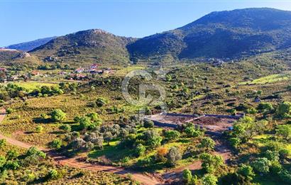 Datça Karadağ Mevkiinde Manzaralı 4.436 m² Bademlik