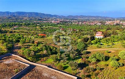 Datça Karadağ Mevkiinde Manzaralı 4.436 m² Bademlik