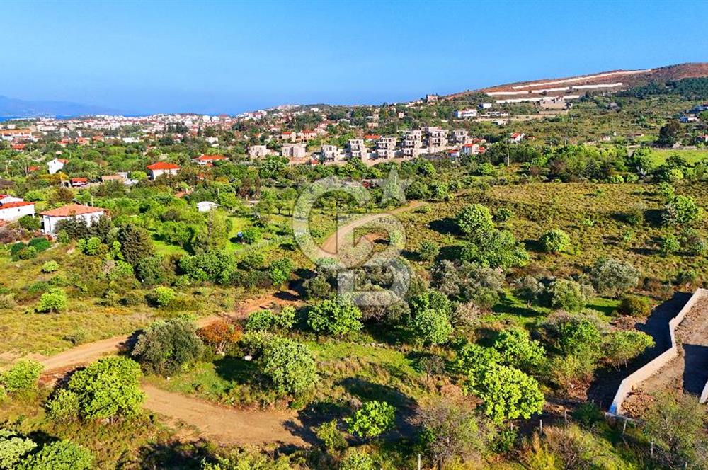 Datça Karadağ Mevkiinde Manzaralı 4.436 m² Bademlik