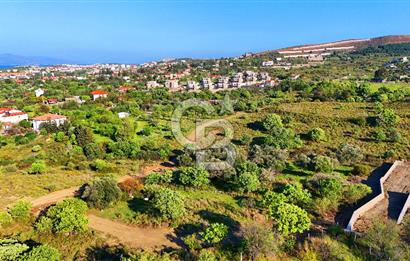 Datça Karadağ Mevkiinde Manzaralı 4.436 m² Bademlik