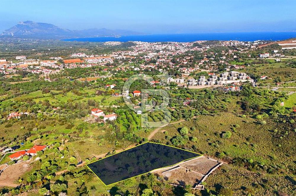 Datça Karadağ Mevkiinde Manzaralı 4.436 m² Bademlik