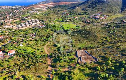 Datça Karadağ Mevkiinde Manzaralı 4.436 m² Bademlik