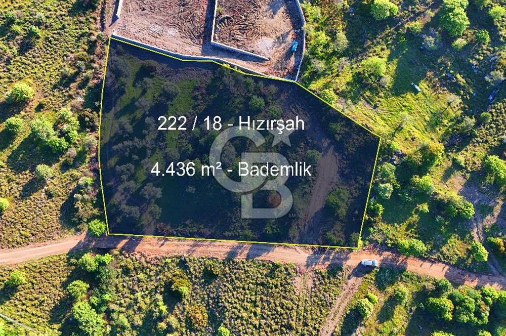 Datça Karadağ Mevkiinde Manzaralı 4.436 m² Bademlik