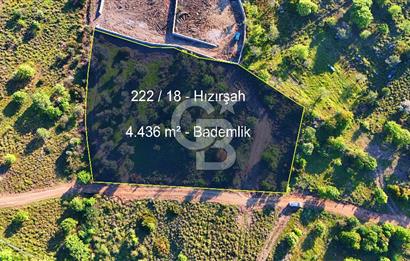 Datça Karadağ Mevkiinde Manzaralı 4.436 m² Bademlik