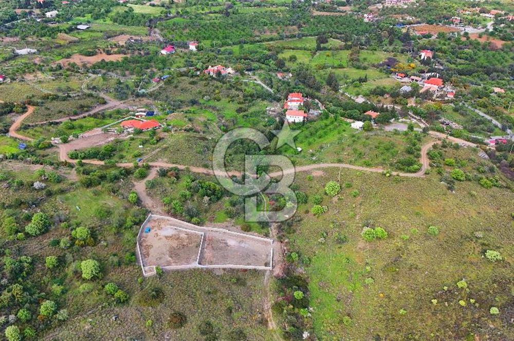 Datça Karadağ Mevkiinde Manzaralı 4.436 m² Bademlik