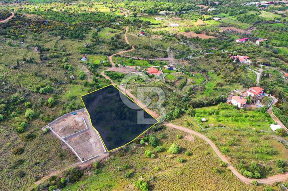 Datça Karadağ Mevkiinde Manzaralı 4.436 m² Bademlik