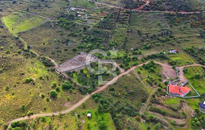 Datça Karadağ Mevkiinde Manzaralı 4.436 m² Bademlik