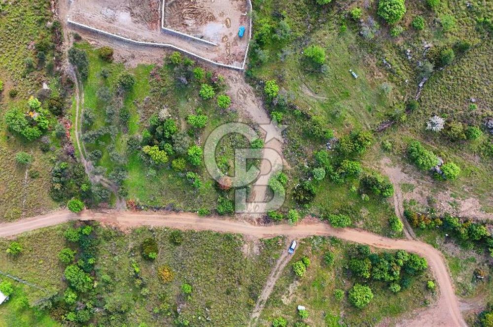 Datça Karadağ Mevkiinde Manzaralı 4.436 m² Bademlik