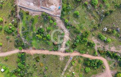 Datça Karadağ Mevkiinde Manzaralı 4.436 m² Bademlik