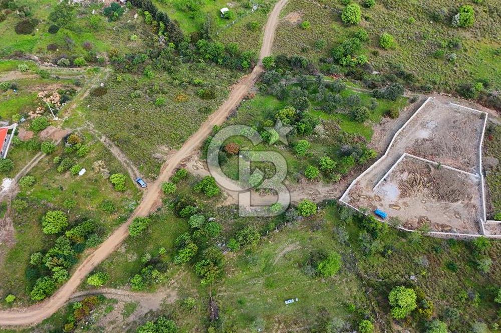 Datça Karadağ Mevkiinde Manzaralı 4.436 m² Bademlik