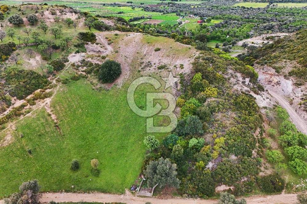 Datça Karaköy'de 2.079 m² Tarl