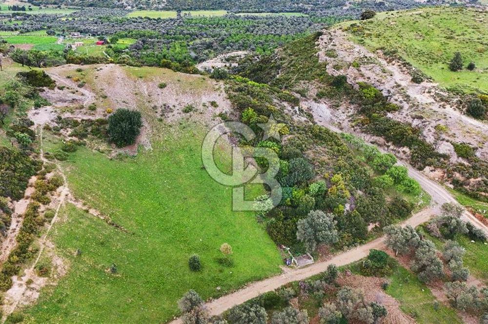 Datça Karaköy'de 2.079 m² Tarl