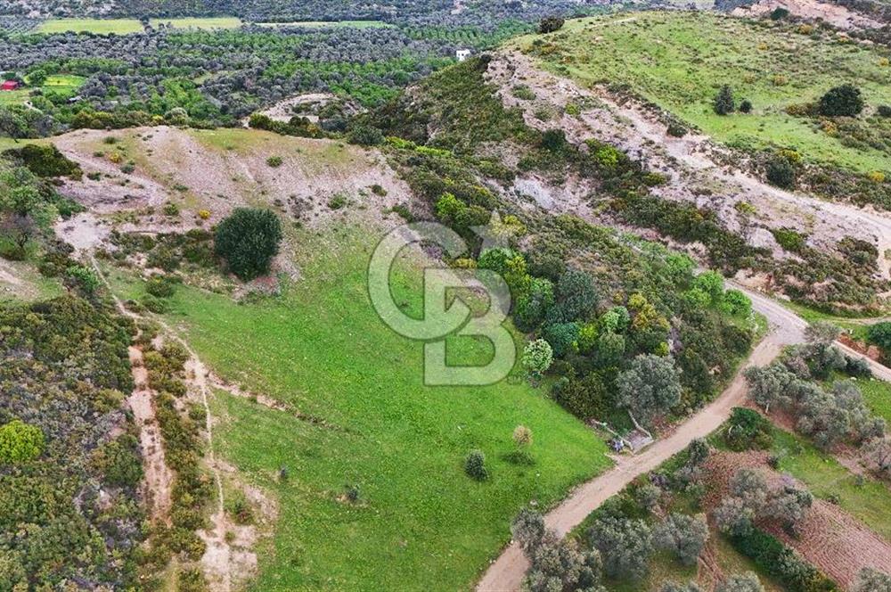 Datça Karaköy'de 2.079 m² Tarl