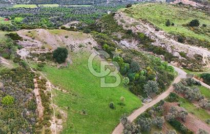 Datça Karaköy'de 2.079 m² Tarl