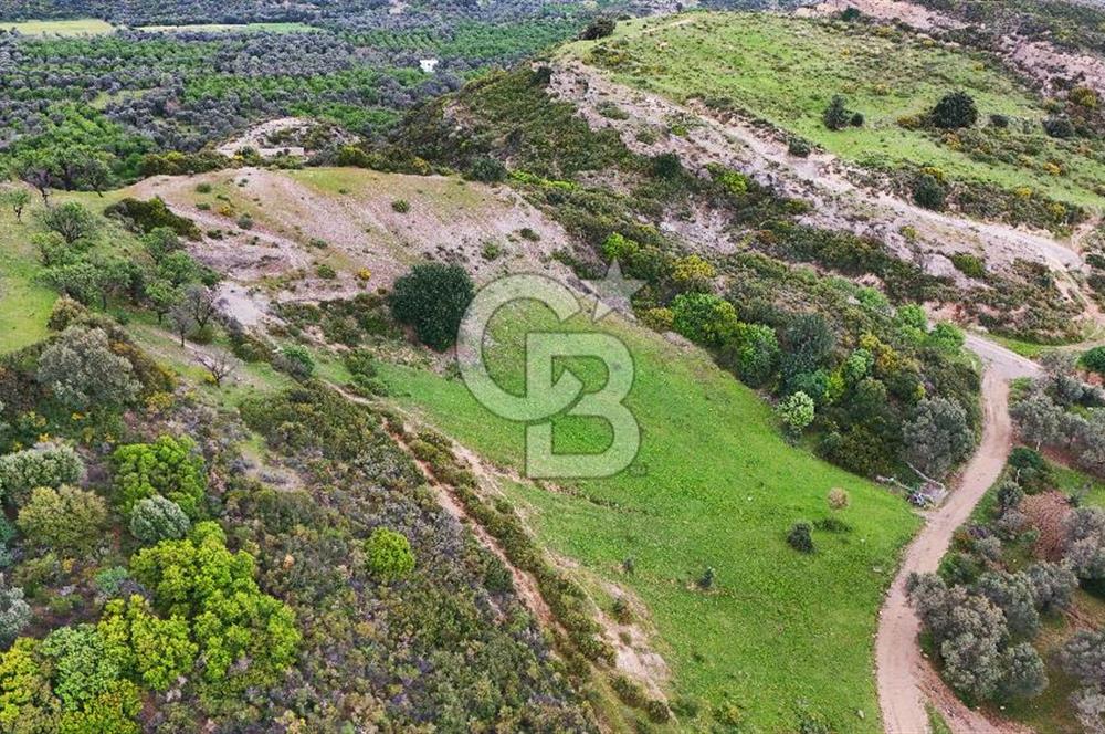 Datça Karaköy'de 2.079 m² Tarl