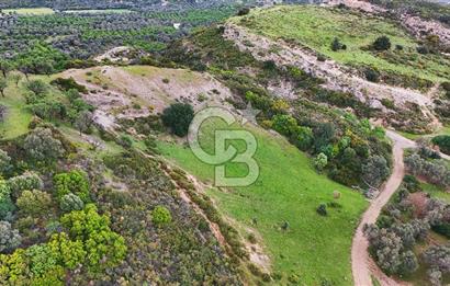 Datça Karaköy'de 2.079 m² Tarl