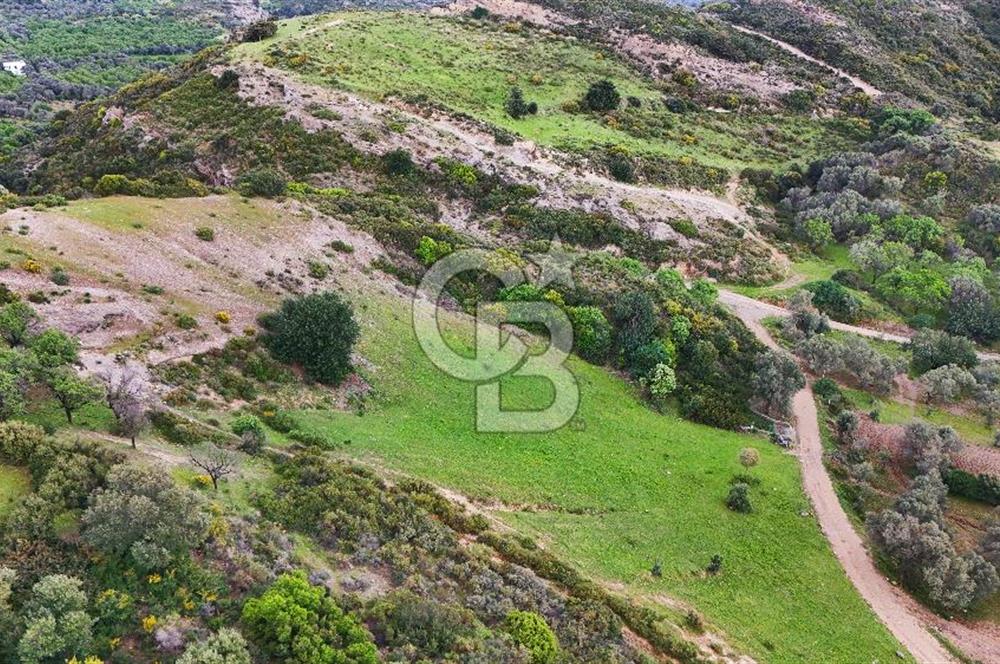 Datça Karaköy'de 2.079 m² Tarl