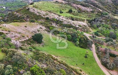 Datça Karaköy'de 2.079 m² Tarl