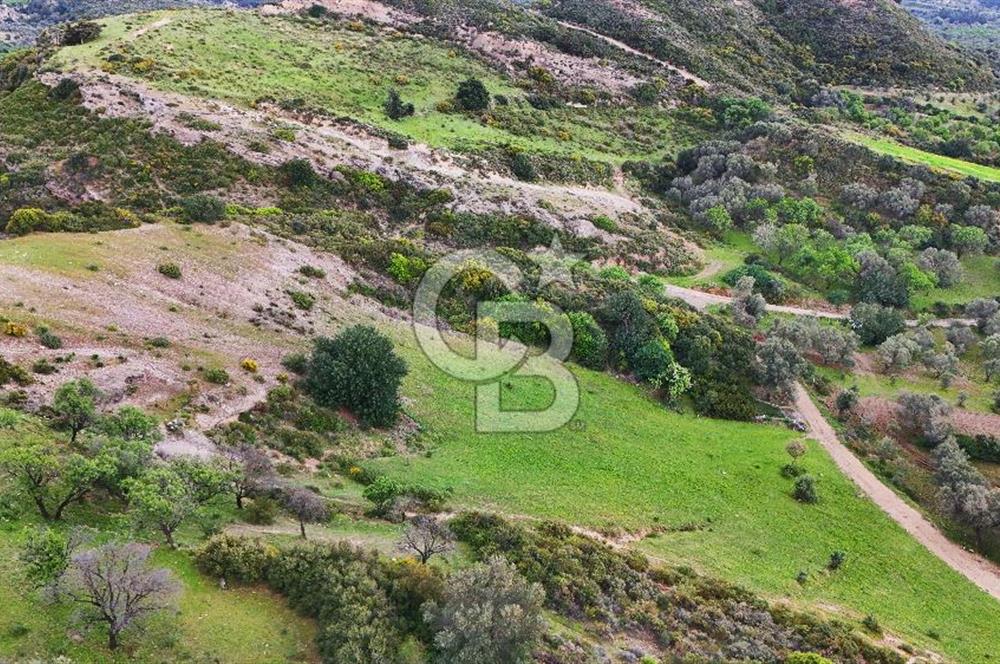 Datça Karaköy'de 2.079 m² Tarl