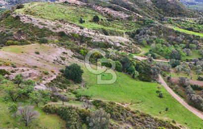 Datça Karaköy'de 2.079 m² Tarl