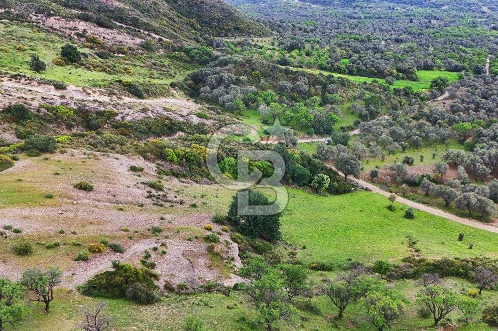 Datça Karaköy'de 2.079 m² Tarl