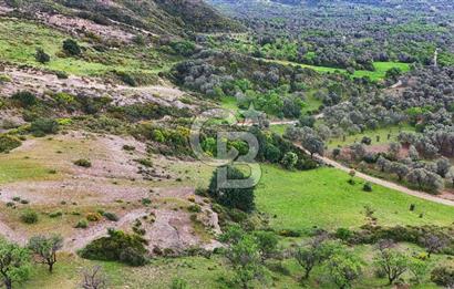 Datça Karaköy'de 2.079 m² Tarl