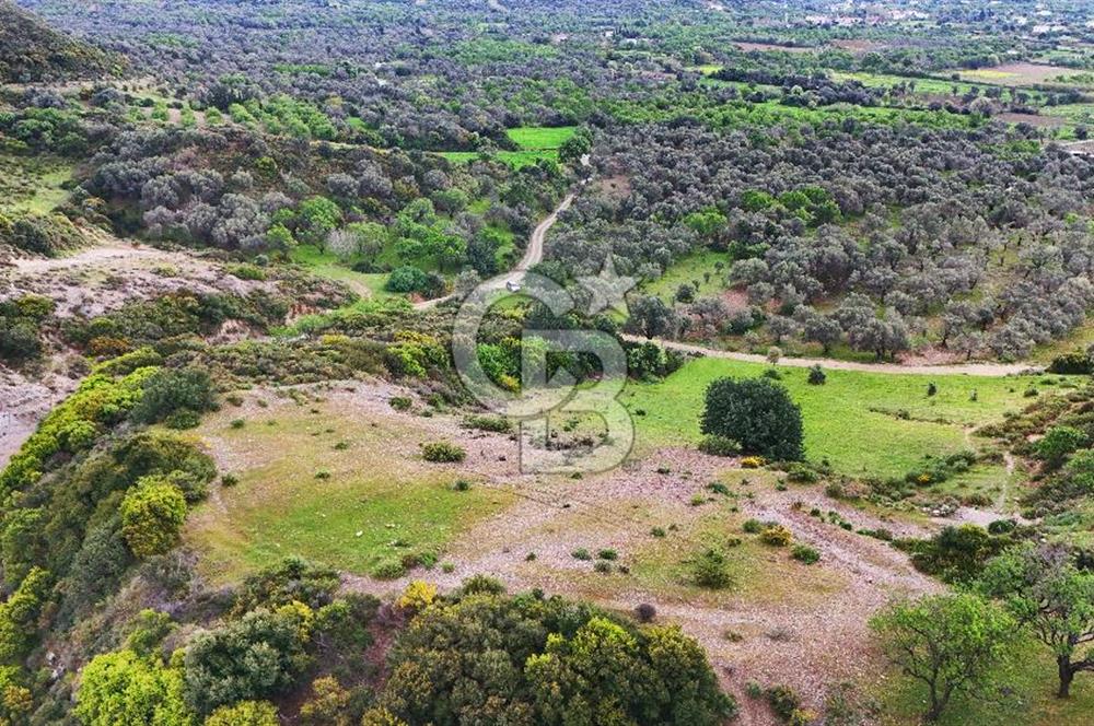 Datça Karaköy'de 2.079 m² Tarl