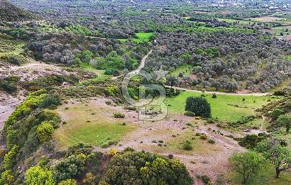 Datça Karaköy'de 2.079 m² Tarl