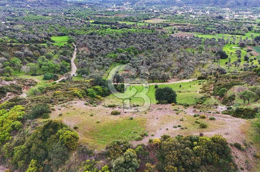 Datça Karaköy'de 2.079 m² Tarl